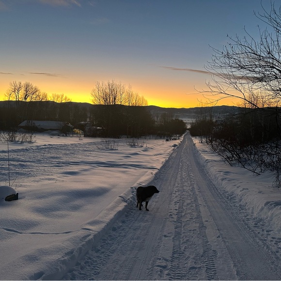 Meet your Posher, Shannon - Picture 11 of 17